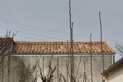 IMG_20220318_201857_802