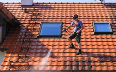 Entretien de toiture à Melle : Pourquoi faire appel à un professionnel pour nettoyer votre toit?